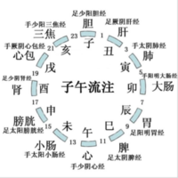 子午流注治疗时间预约